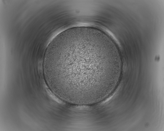 X0000090501417200707201537