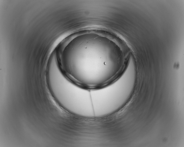 X0000090501418200707201537