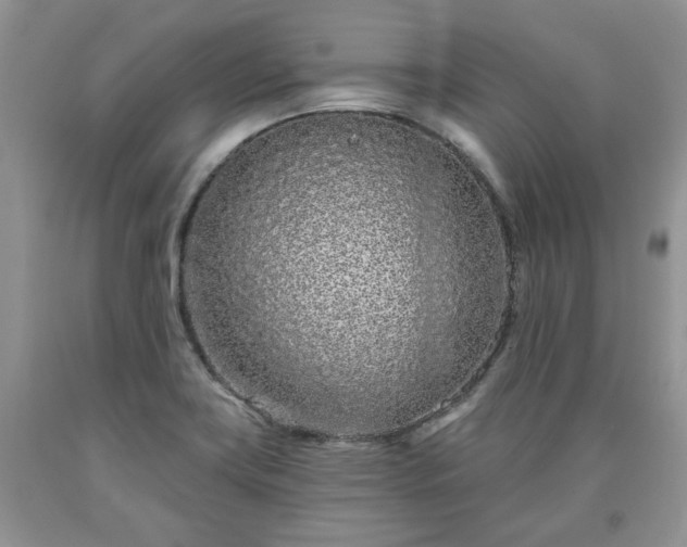 X0000090501419200707201537