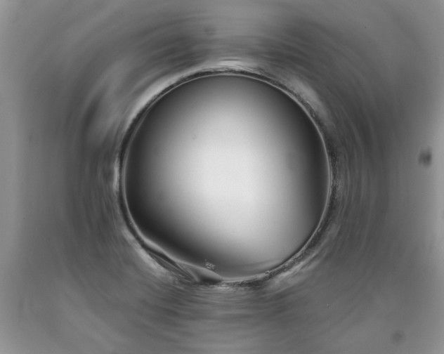 X0000090501420200707201537