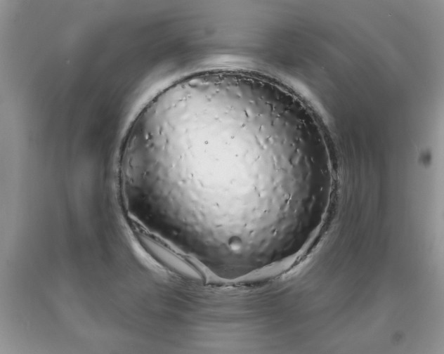 X0000090501421200707201537