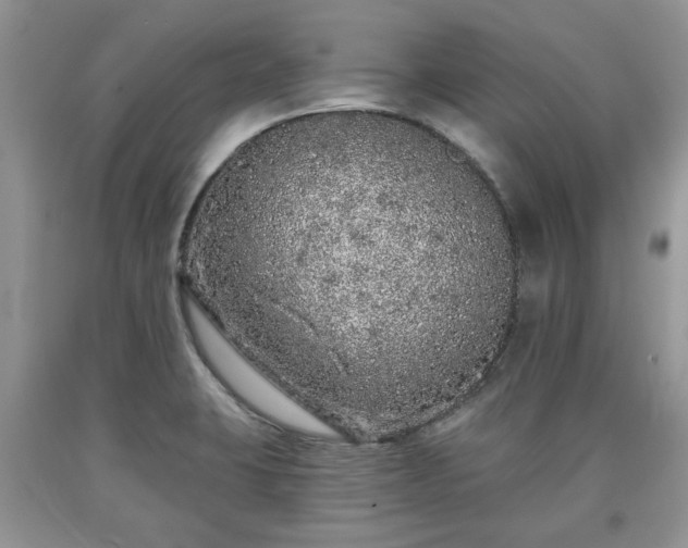 X0000090501423200707201537