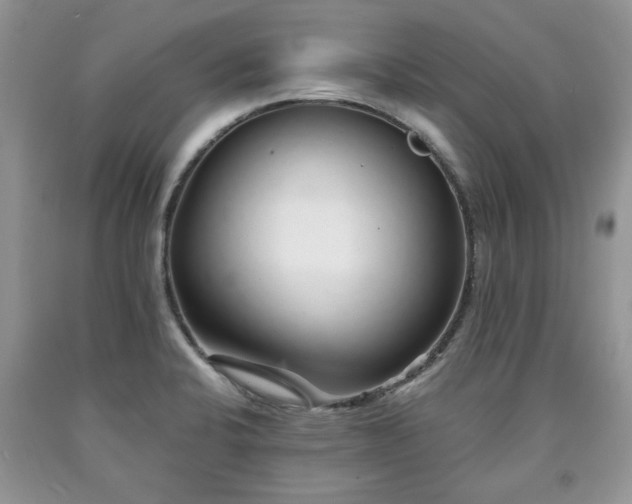 X0000090501424200707201537