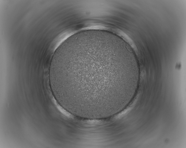 X0000090501425200707201537