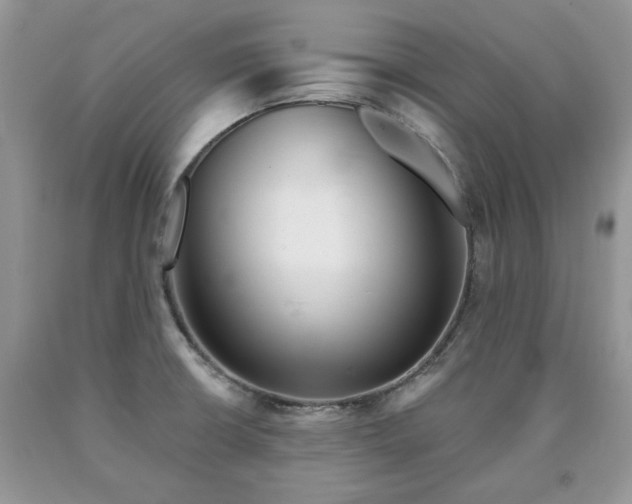 X0000090501426200707201537
