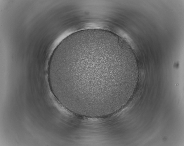 X0000090501427200707201537