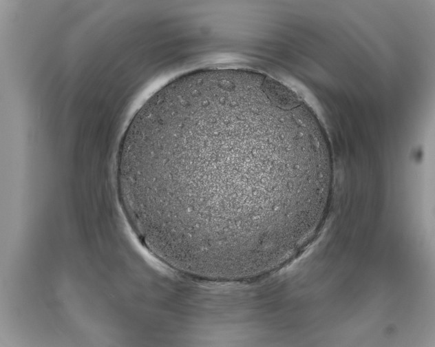 X0000090501429200707201537