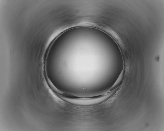 X0000090501430200707201537