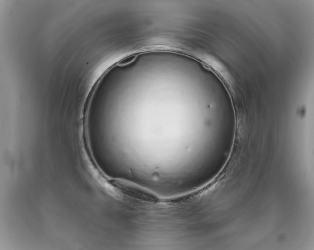 X0000090501431200707201537