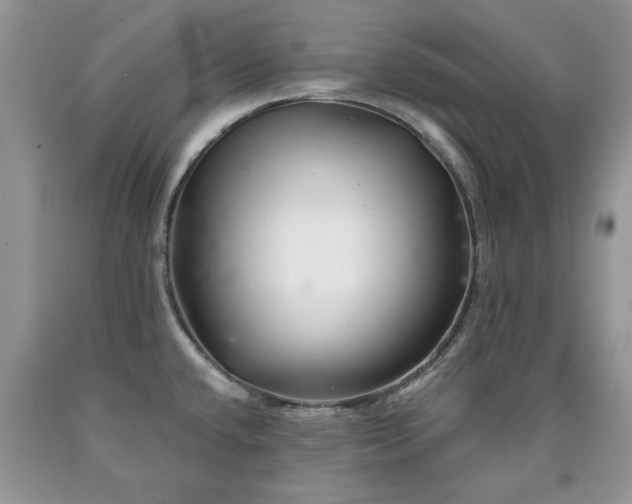 X0000090501432200707201537