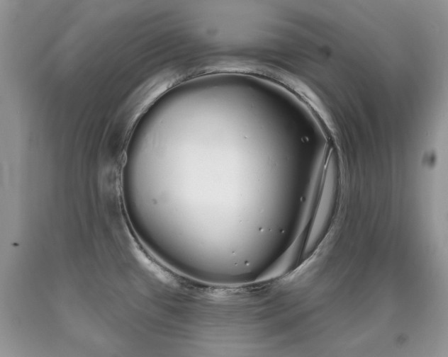 X0000090501433200707201537