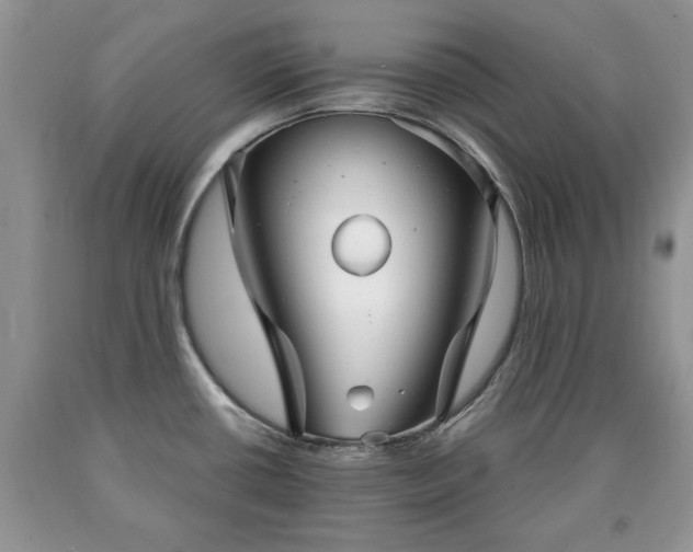 X0000090501434200707201537