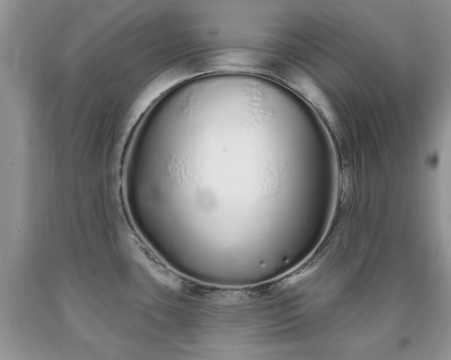 X0000090501435200707201537