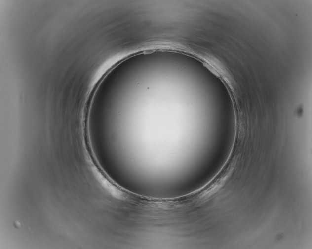 X0000090501438200707201537