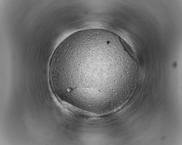 X0000090501439200707201537