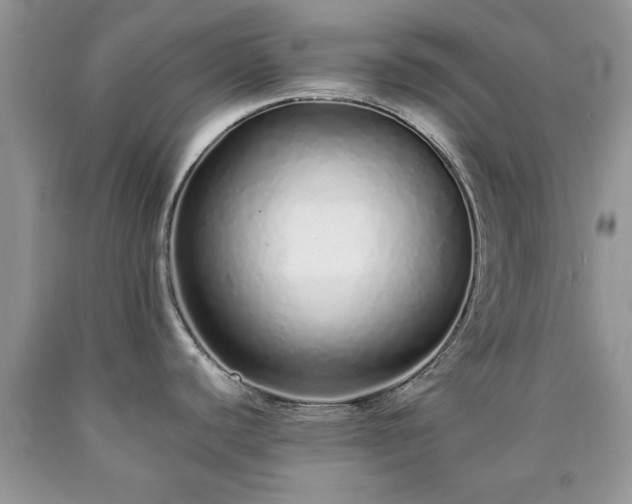 X0000090501440200707201537