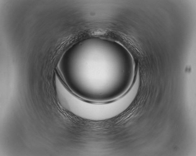 X0000090501441200707201536