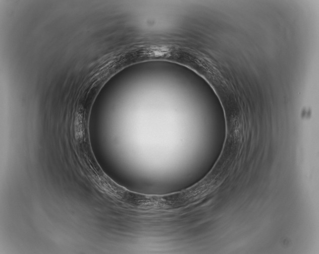 X0000090501442200707201536
