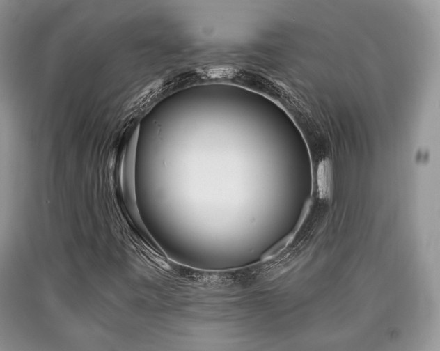 X0000090501443200707201536