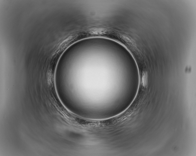 X0000090501444200707201536