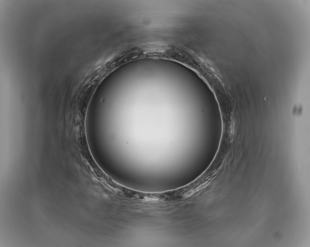 X0000090501445200707201536