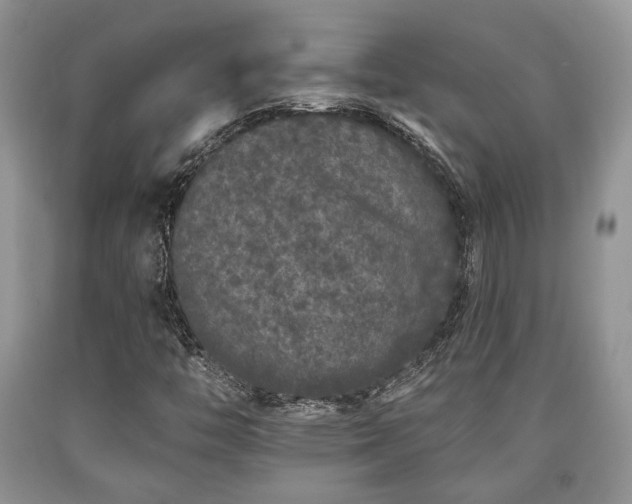 X0000090501446200707201536
