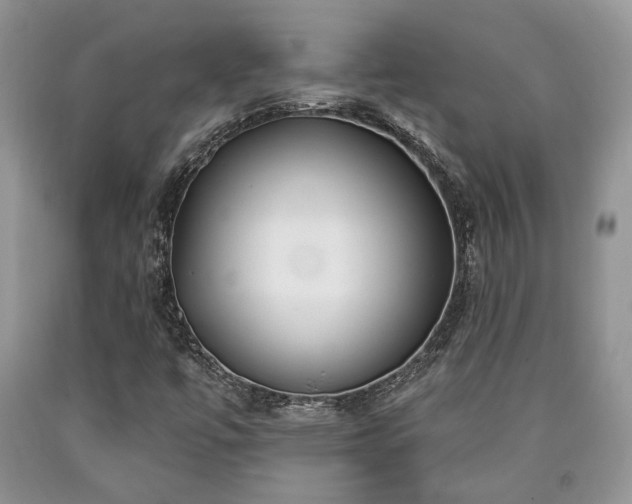 X0000090501447200707201536