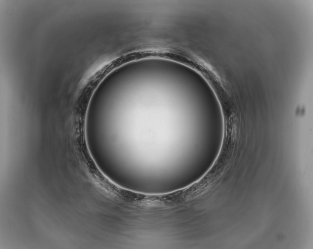 X0000090501448200707201536