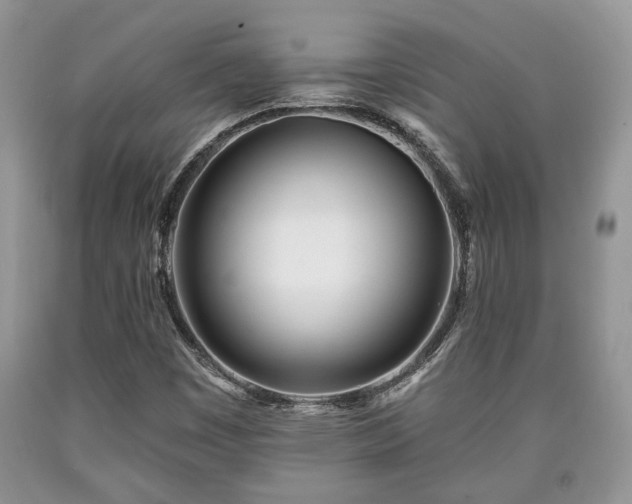 X0000090501449200707201536