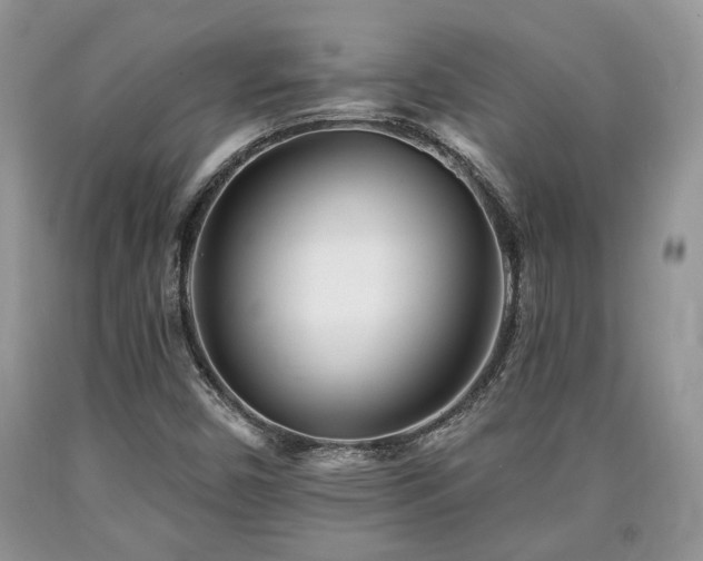 X0000090501450200707201536