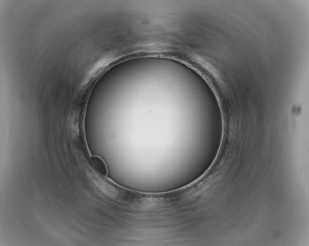 X0000090501451200707201536
