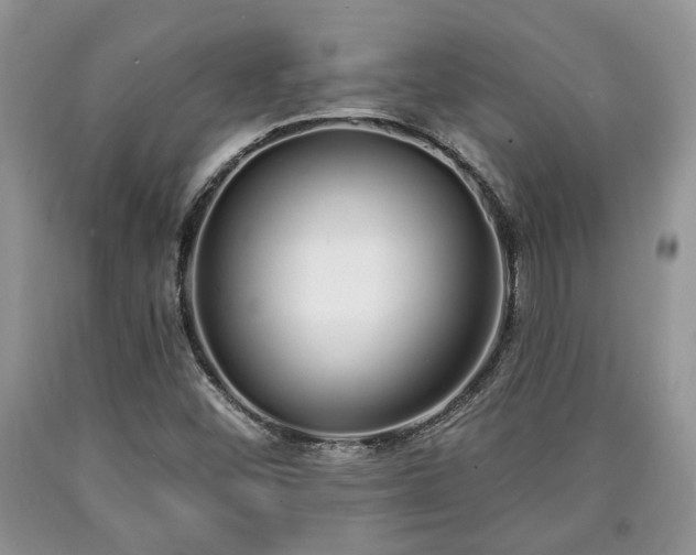 X0000090501452200707201536