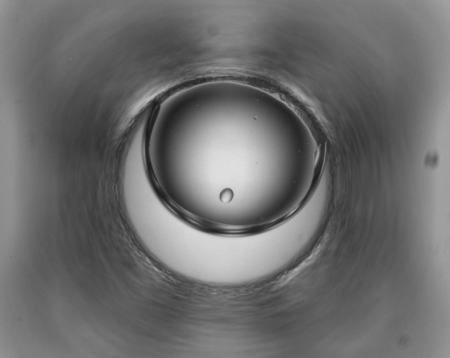 X0000090501453200707201536