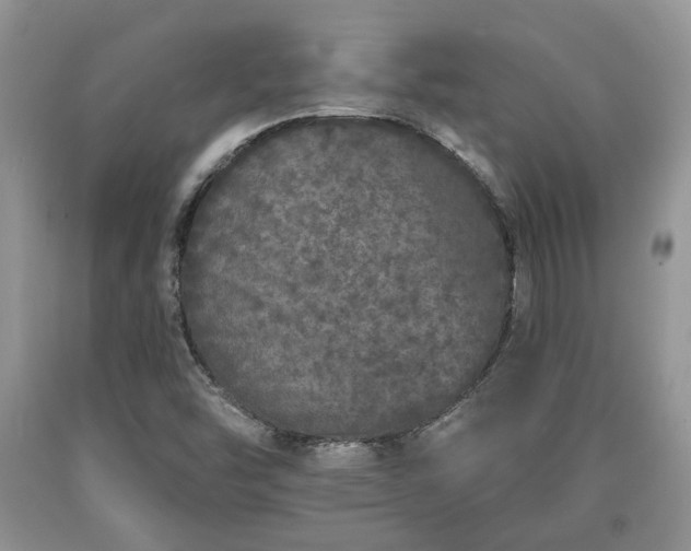 X0000090501454200707201536