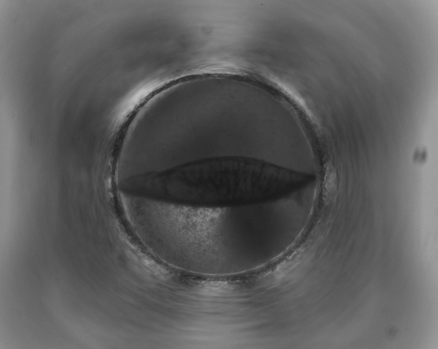 X0000090501455200707201536
