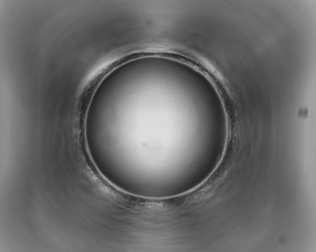 X0000090501456200707201536