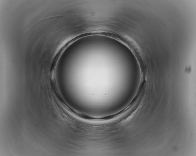 X0000090501457200707201536