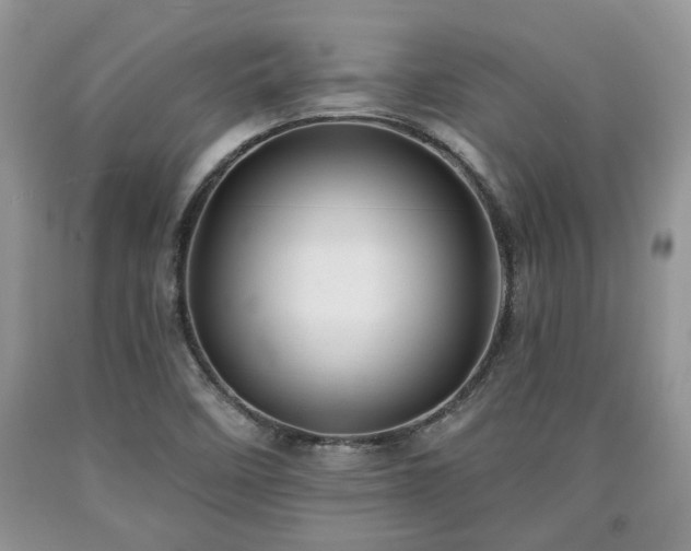 X0000090501458200707201536