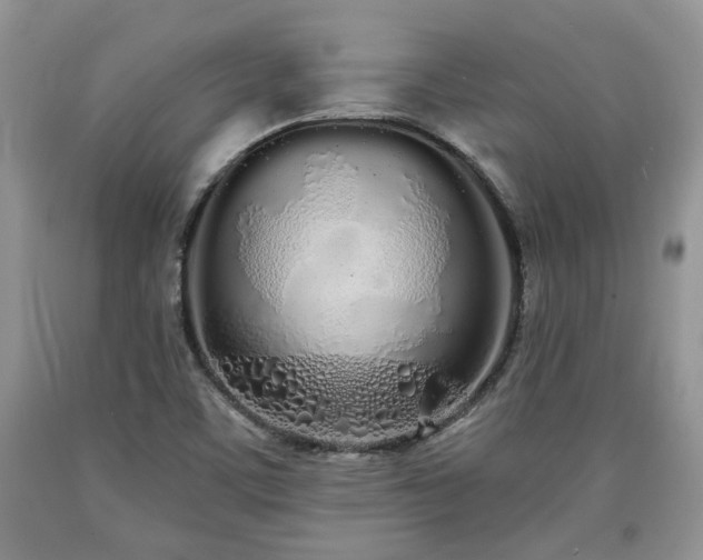 X0000090501459200707201536