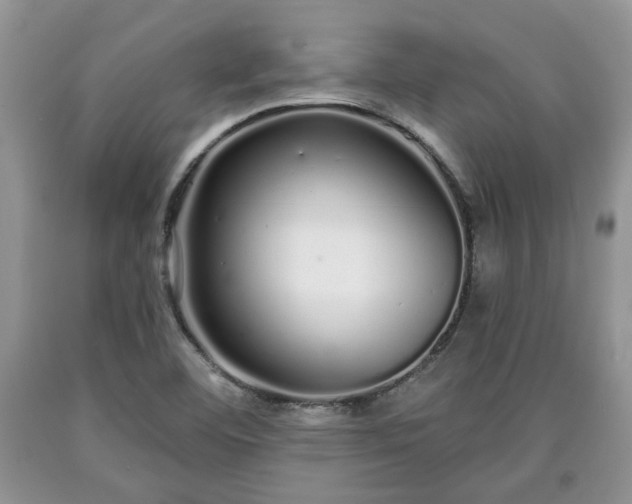 X0000090501460200707201536