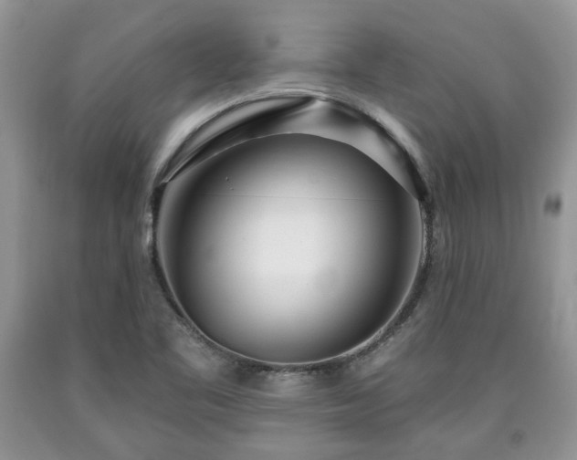 X0000090501461200707201536