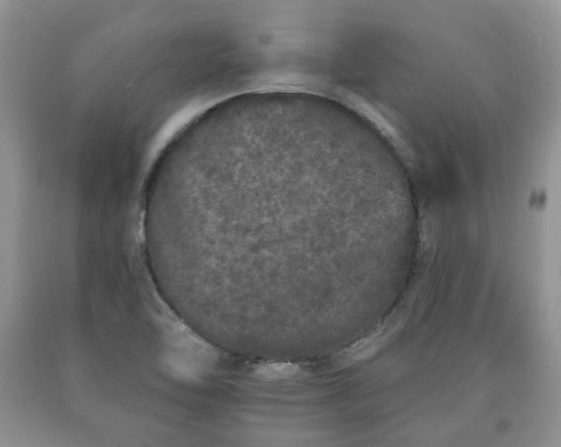 X0000090501462200707201536