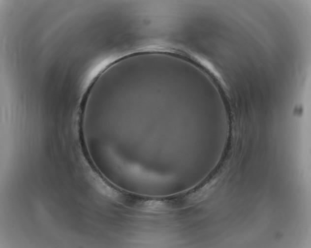 X0000090501463200707201536