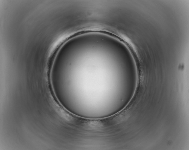 X0000090501464200707201536