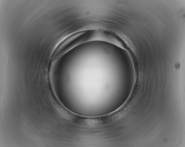 X0000090501465200707201536