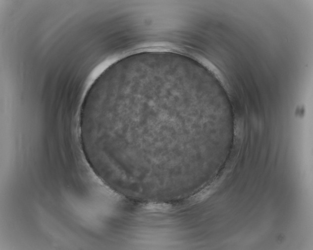 X0000090501466200707201536