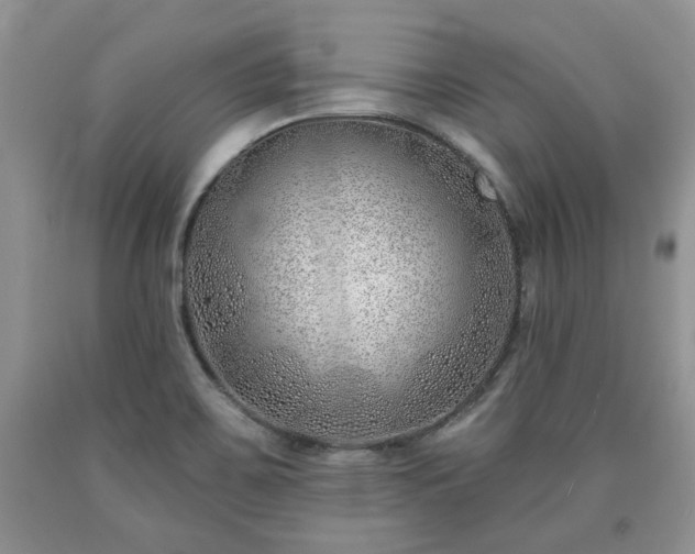 X0000090501467200707201536