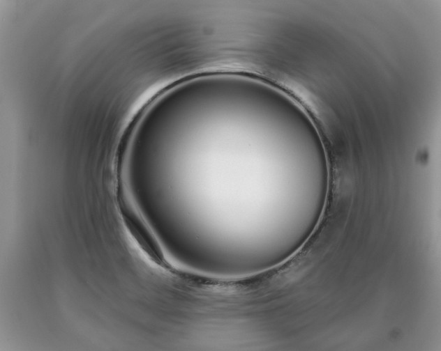 X0000090501468200707201536