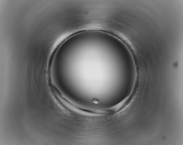 X0000090501469200707201536