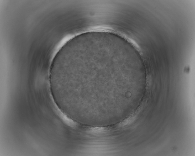 X0000090501470200707201536